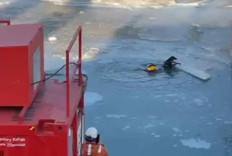 Водолазы спасли тонущую собаку на Каспии