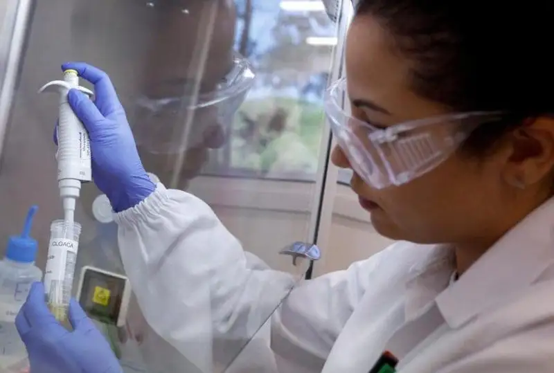 Бразилия объявила ЧС из-за вспышки птичьего гриппа