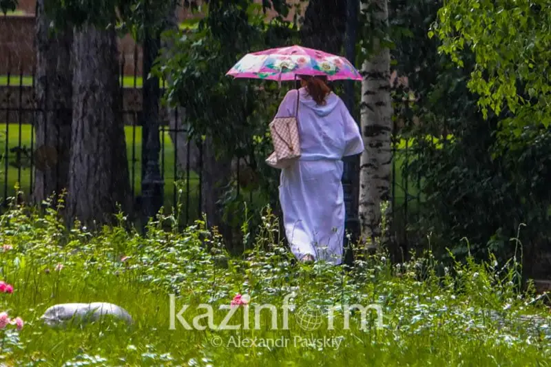 Дожди, грозы и жара ожидаются в июле в СКО