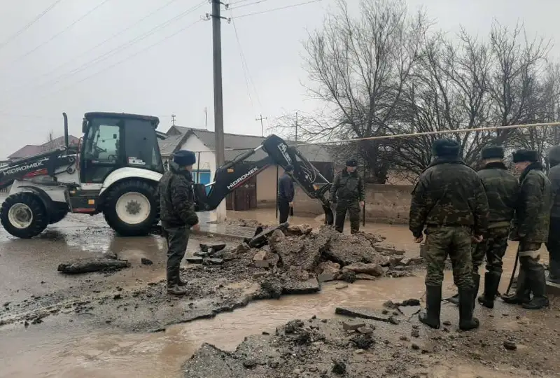 تۇركىستان وبلىسىندا تاسقىن سۋ ادامداردى كولىگىمەن اعىزىپ اكەتتى