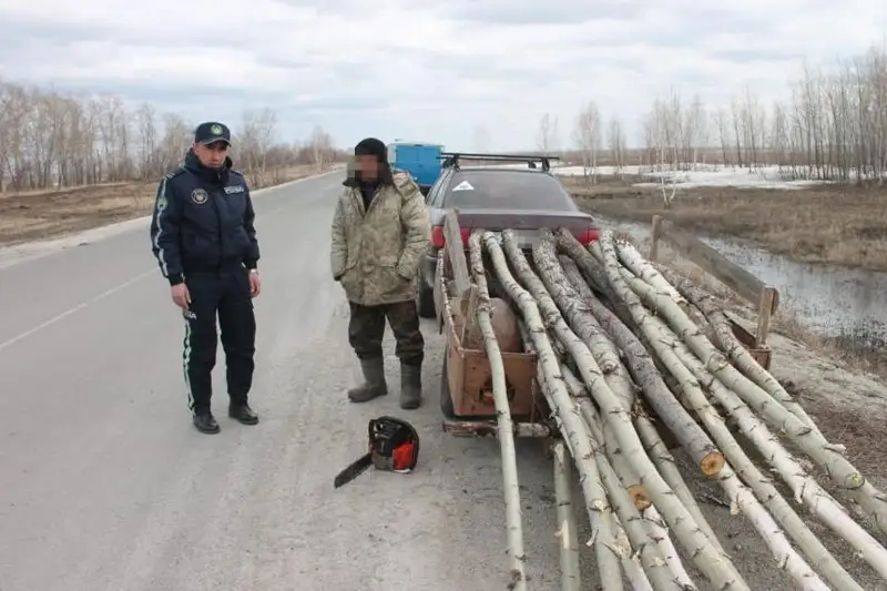 Молодые деревья незаконно вырубил житель СКО