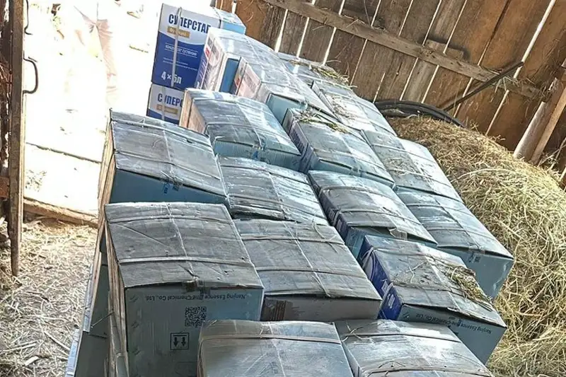 SQO-da 34 mln teńgeniń gerbıtsıdin urlaǵan kúdiktiler ustaldy