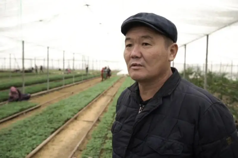 تۇركىستان وبلىسىنىڭ شارۋالارى بۇرىشتىڭ جاڭا ءتۇرىن وسىرە باستادى