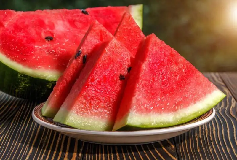 قىزىلوردا وبلىسىندا ماۋسىم ايىندا 21 ادام قاربىزدان ۋلانعان