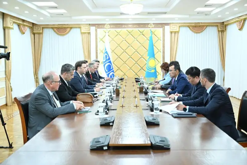 Спикер Сената Парламента РК встретился с действующим председателем ОБСЕ