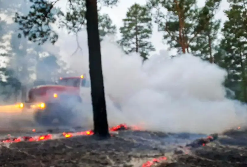 Ущерб от лесных пожаров посчитали в СКО
