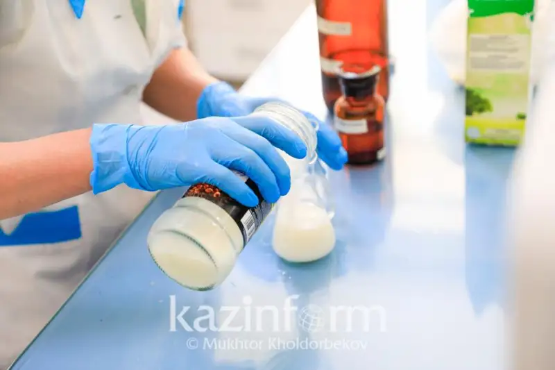 Загруженность молокоперерабатывающих предприятий Казахстана не превышает 77%