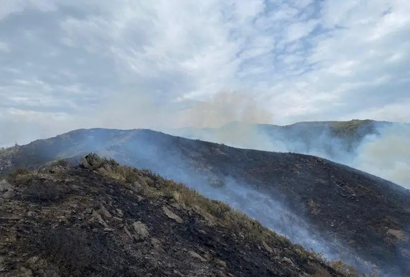 شىعىس قازاقستاندا قاتتى جەلدەن دالا ءورتىنىڭ بەتى قايتپاي جاتىر