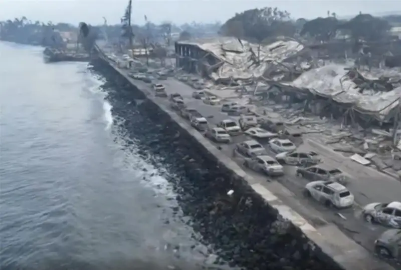 Количество жертв пожаров на Гавайях достигло 93 человек