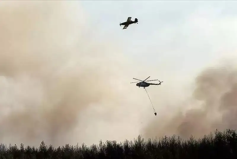 Туркиянинг Бодрум аэропорти яқинида катта ўрмон ёнғини содир бўлди