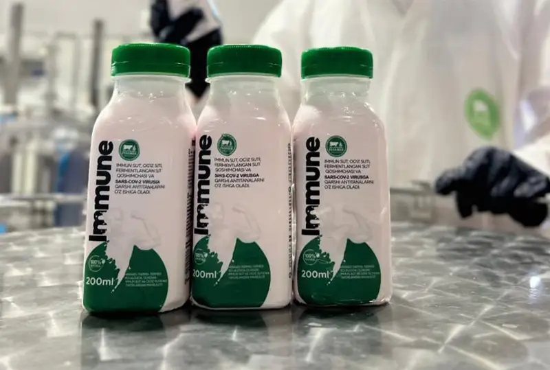В Узбекистане запустили в продажу иммунное молоко против коронавируса