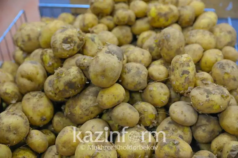 Практически все продукты выращиваются в Казахстане - Минторговли