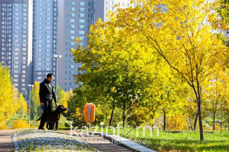 День осеннего равноденствия: день равен ночи