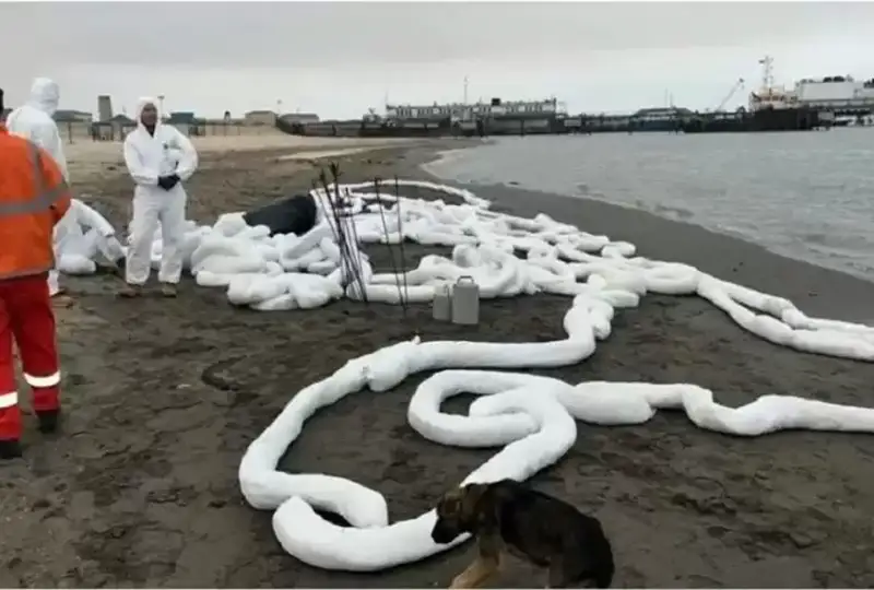 Масляные пятна нашли на поверхности воды в Каспии у побережья Мангистауской области