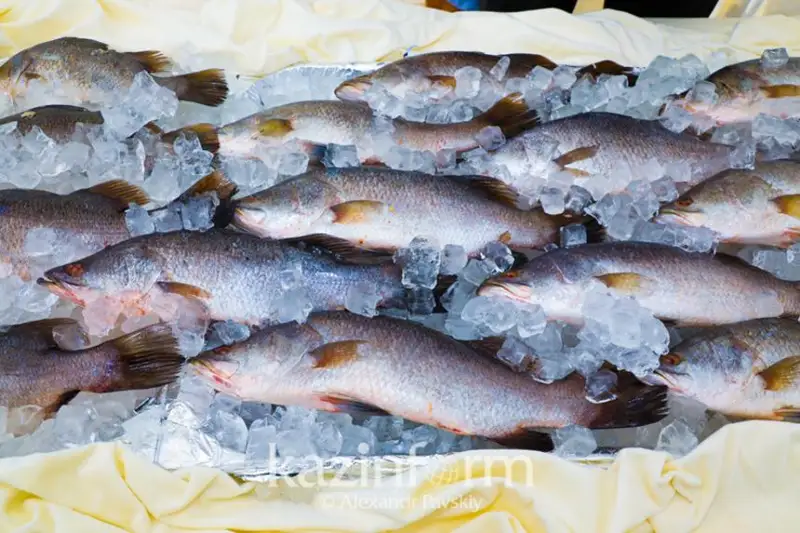 Рынок открыт: казахстанская рыбная продукция пойдет на экспорт в страны ЕС