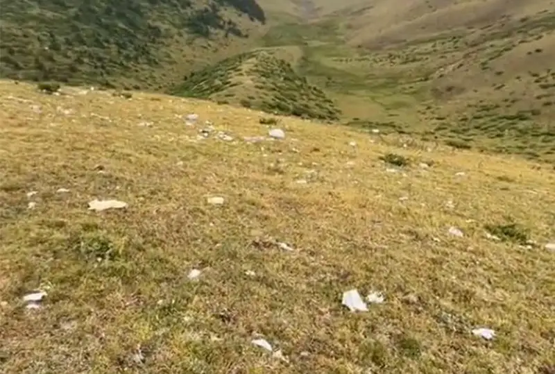 شەتەلدىك تۋريست قىزدىڭ سىنىنان كەيىن اسى ۇستىرتىنەن 30 توننا قوقىس شىعارىلدى