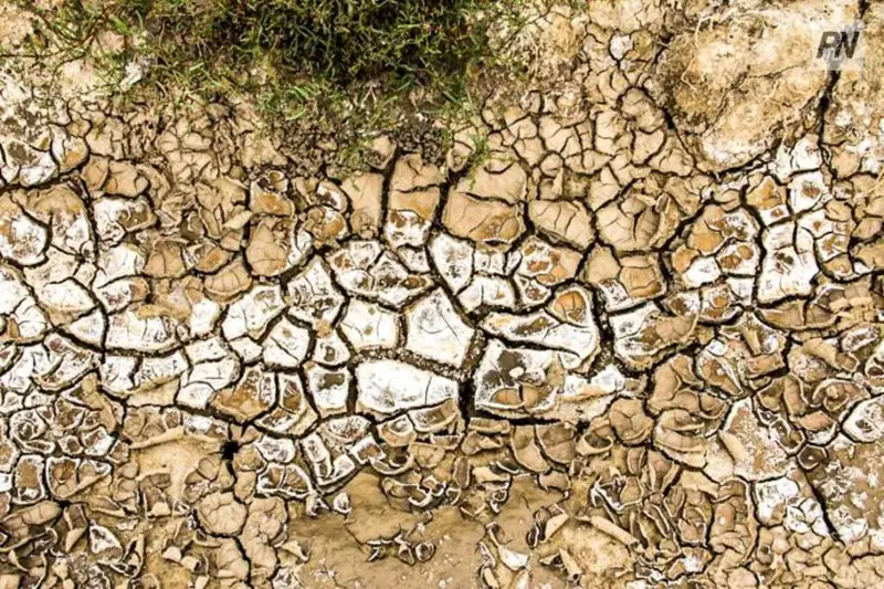 Превышен многолетний максимум температуры воздуха в Павлодаре