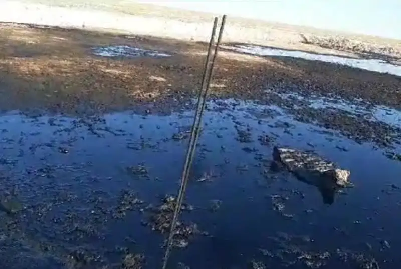 Munaı qaldyǵynan qyrylǵan maldyń óleksesi qalaı joıylady