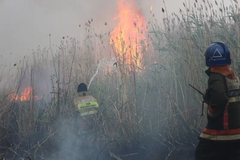 Горение камыша ликвидировали в районе озера Талдыколь под Астаной