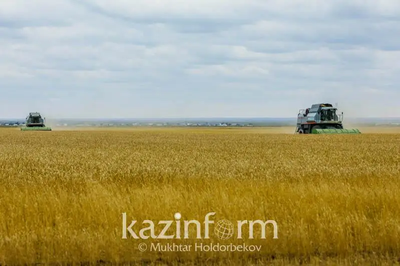 Поручение Президента: на какие субсидии могут рассчитывать фермеры