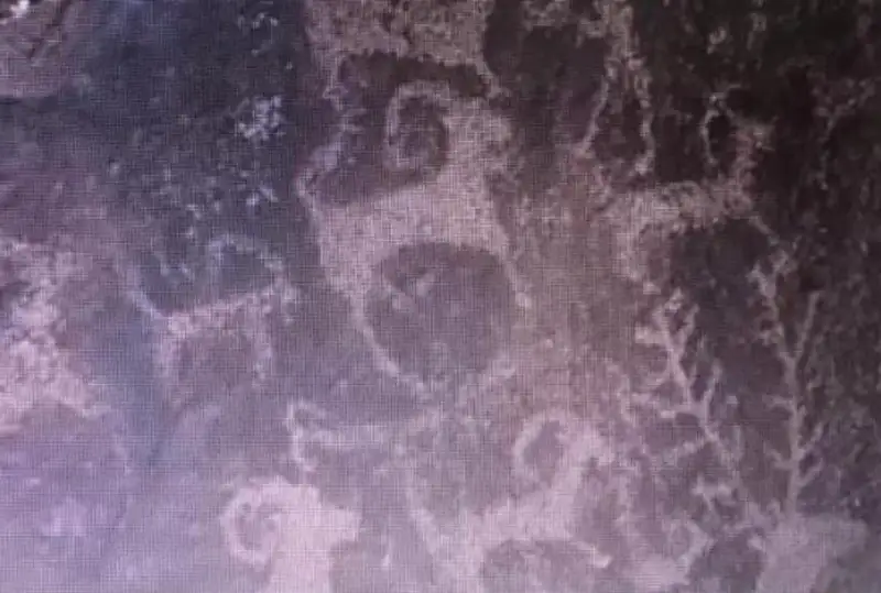 Петроглифы Архарлы находятся под охраной государства