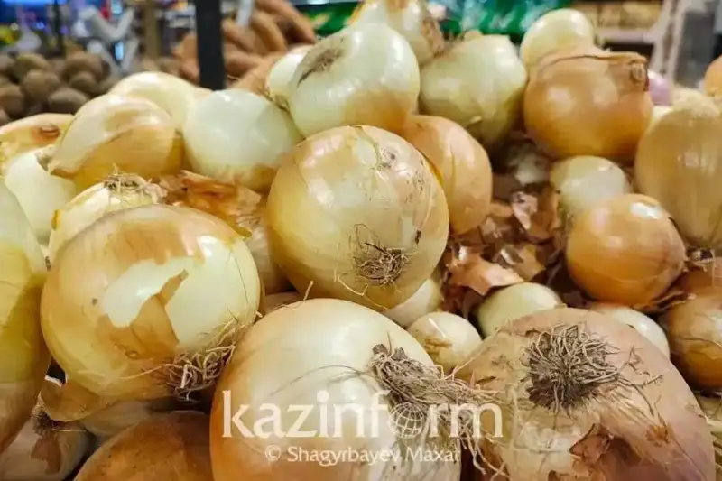 Ўзбекистон ва Россияда пиёз нархи ошганидан сўнг экспортга чеклов киритдик – ҚР Қишлоқ хўжалиги вазири