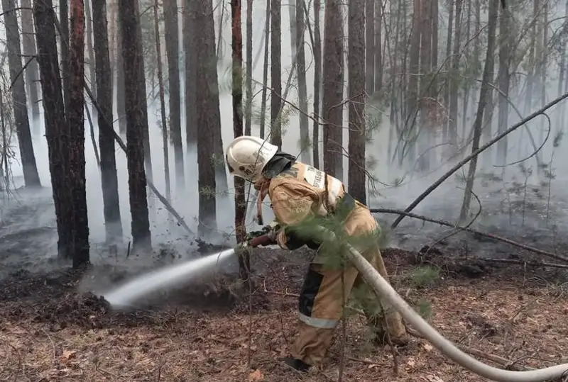 Большая часть очагов пожара в области Абай локализована, ситуация стабилизируется - акимат