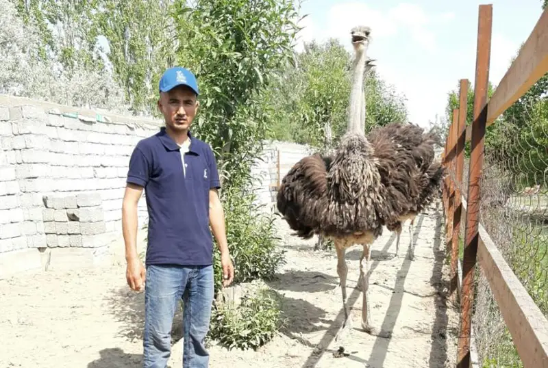 تۇيەقۇستىڭ ءبىر جۇمىرتقاسىمەن 10-12 ادامدى تويدىرۋعا بولادى - تۇركىستاندىق زەينەتكەر