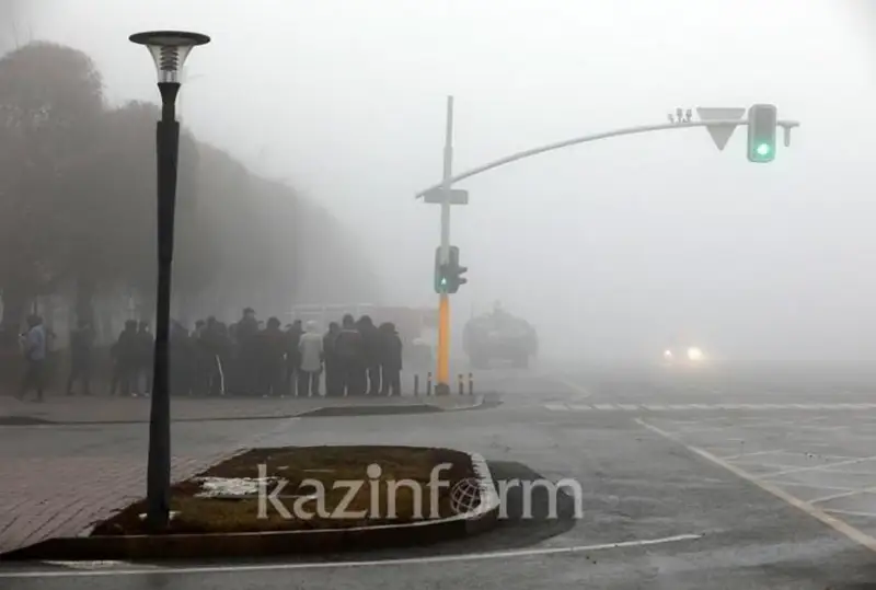 Январские события были хорошо срежиссированной акцией – Президент РК