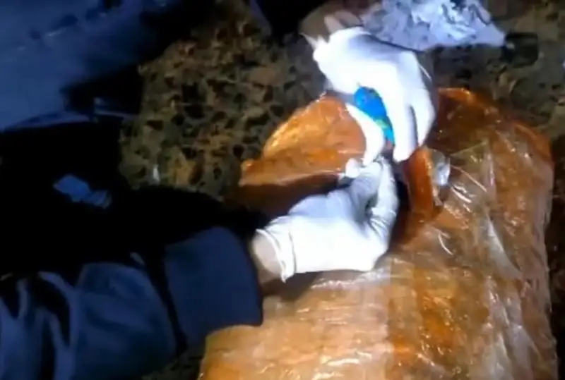 На станции Шу у жителя Алматинской области изъяли 12 кг марихуаны