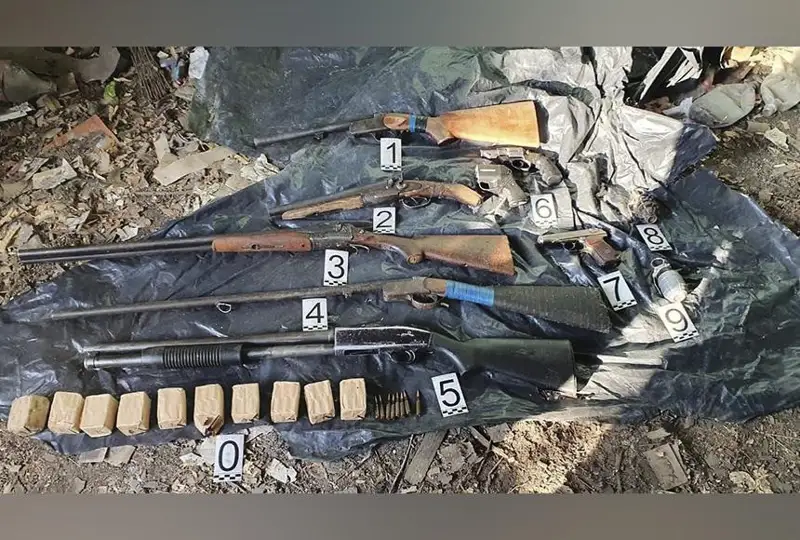 جامبىل وبلىسىندا ءبىر ايدا 60 قارۋ تاركىلەندى