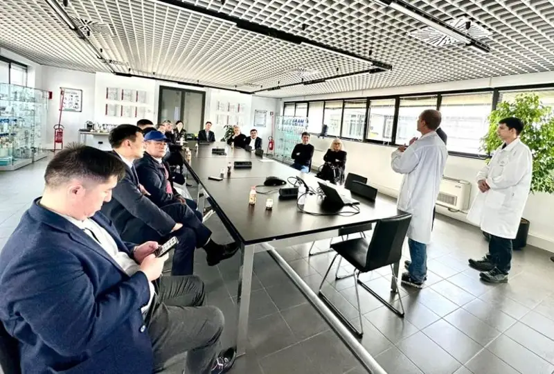 Строительство клиник и переработка мяса - итальянцы планируют новые проекты в Казахстане