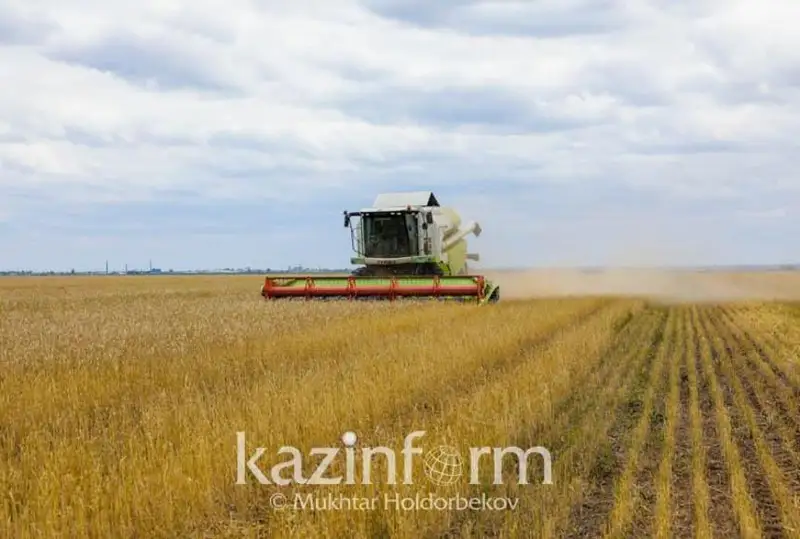 Ставка на АПК: Какая поддержка оказывается производителям сельхозкультур в РК