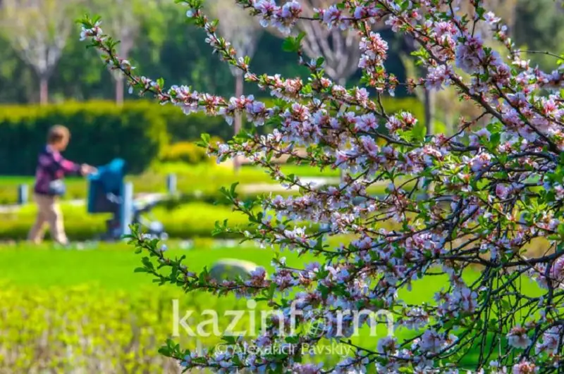 Раннюю весну прогнозируют в Алматы