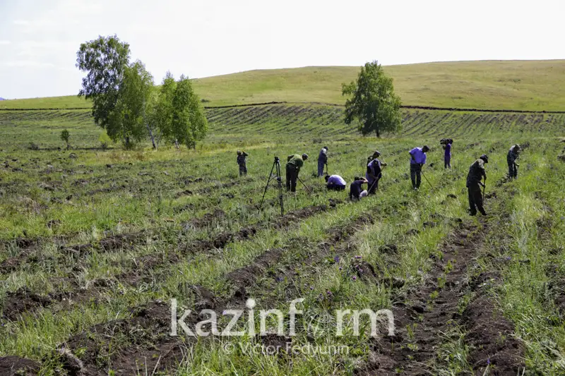 160 млн тенге выделили на покупку техники для лесхозов в СКО
