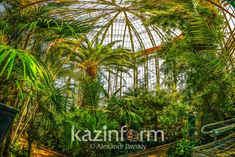 Almatydaǵy Botanıkalyq baqqa kirý quny arzandady