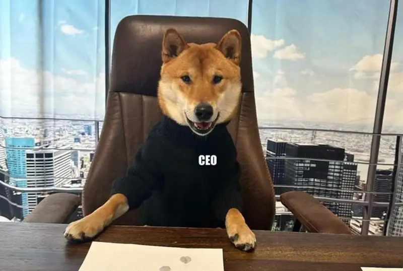 Илон Маск ўз итини Тwitter бош директори этиб «тайинлади»