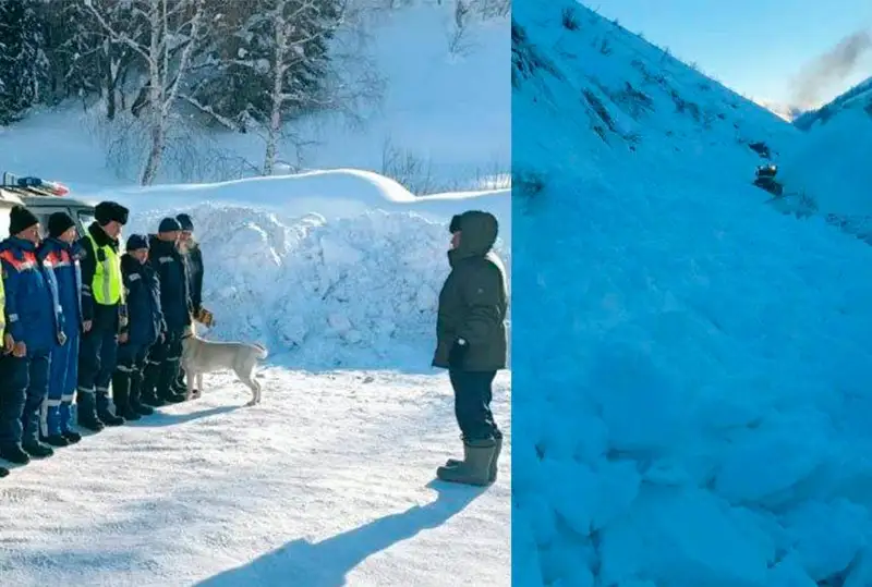 Четыре лавины спустили в ВКО