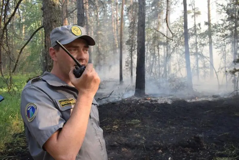 Лесной пожар в Зерендинском районе: начато служебное расследование