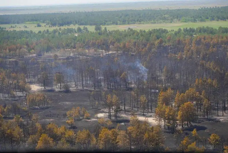 Санитарные работы в «Семей орманы» будут проводить с участием общественности
