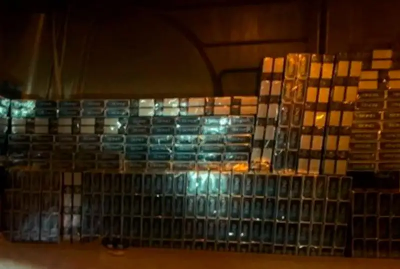 Контрабанду почти на 3 млн тенге пресекли пограничники в Жамбылской области