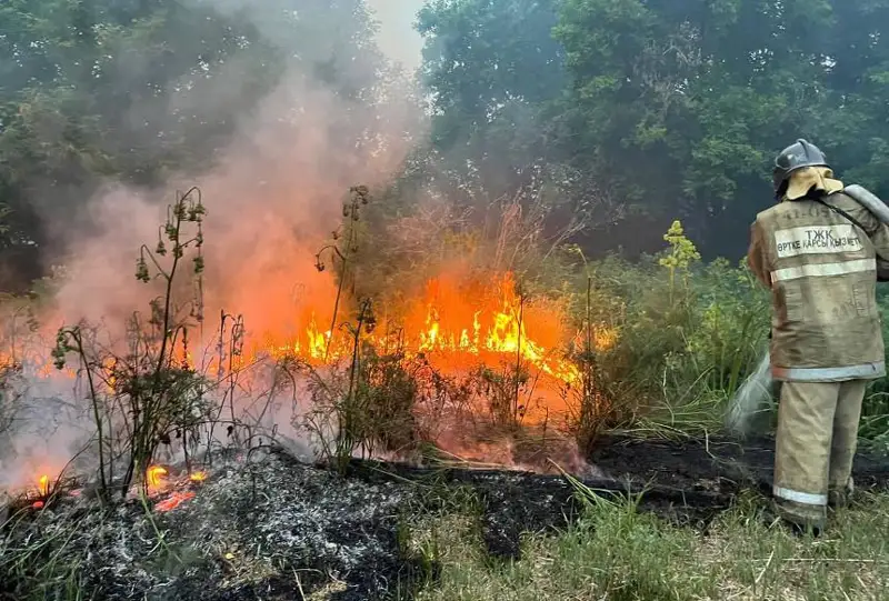 Пожарные еще из трех областей отправятся на тушение возгорания в области Абай