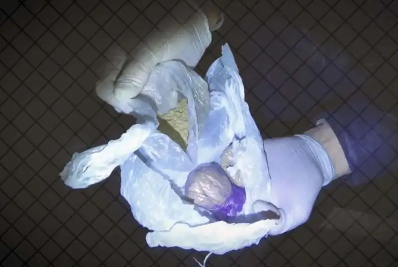 Преступную группу наркосбытчиков ликвидировали в Алматы