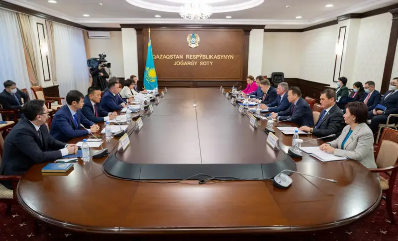 Senatorlar Joǵarǵy sot basshylyǵymen sot júıesin jetildirý máselelerin talqylady