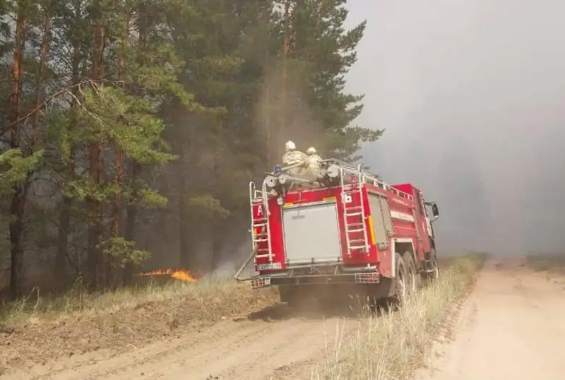 Площадь пожара в области Абай достигла 350 га