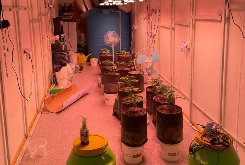 Наркотики и осетра изъяли у жителя Мангистау