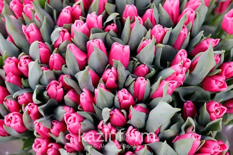 Как отметят Международный женский день в Астане