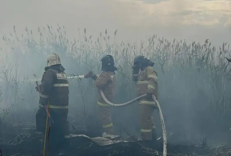 Еще пару недель может занять тушение пожара под Астаной – глава МЧС РК