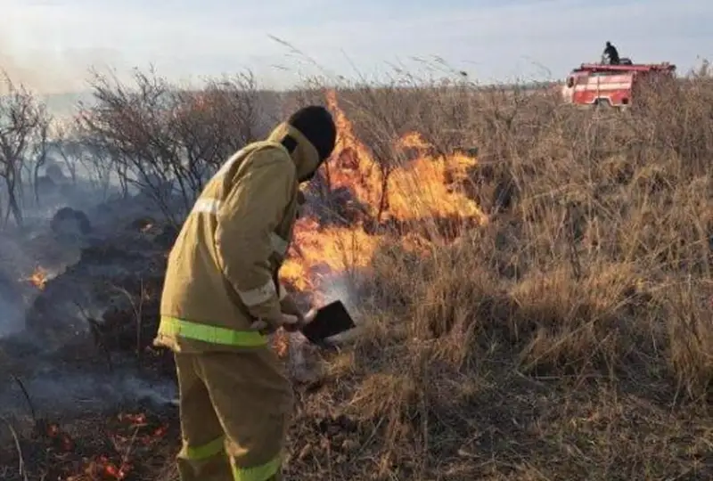 ShQO-da dala órtiniń 70 paıyzy halyqtyń otty abaısyz qoldanýynan shyǵady