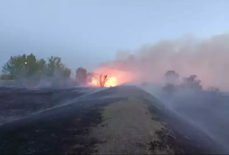 Pavlodar oblysynda aýyl mańynda qamys órtenip jatyr